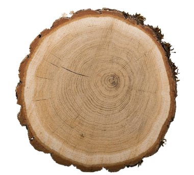 ağaç yuvarlak kesim