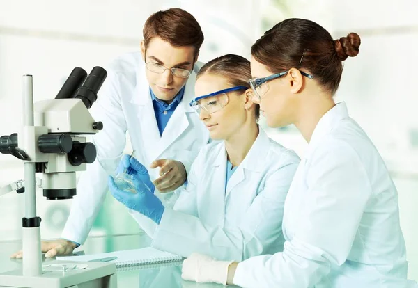 Cientistas que trabalham com microscópio — Fotografia de Stock
