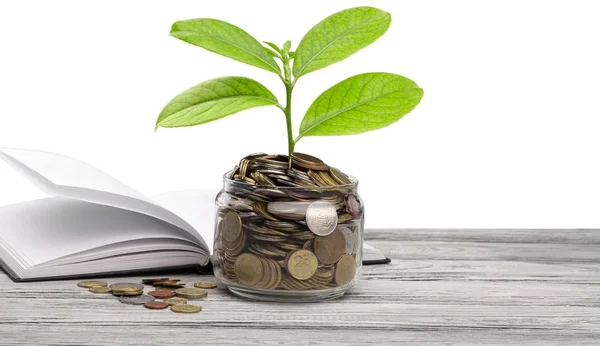 Coins in soil with young plants — Stock Photo, Image