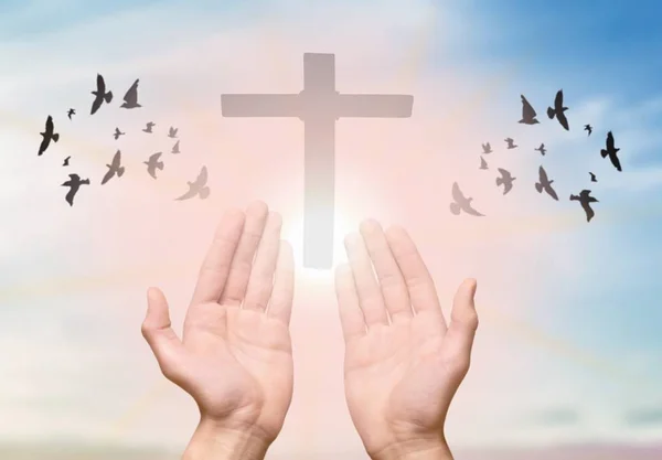 Hands of human praying on light background