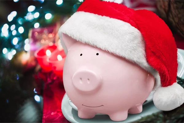 Piggy Bank Santa Claus Hat Isolated Background — Stock Photo, Image