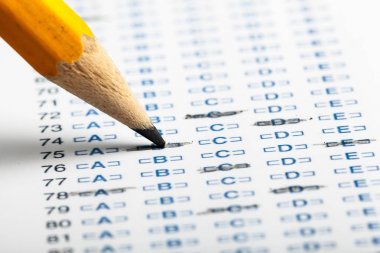 hesap makinesi ve mali rapor