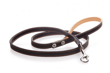 İzole beyaz köpek için deri tasma.