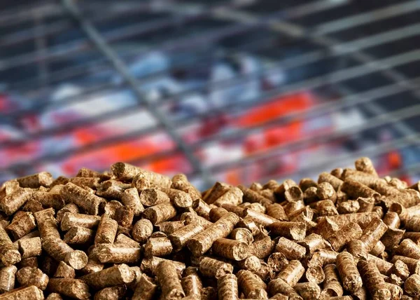 Stapel Biologischer Produkte Auf Dem Markt — Stockfoto