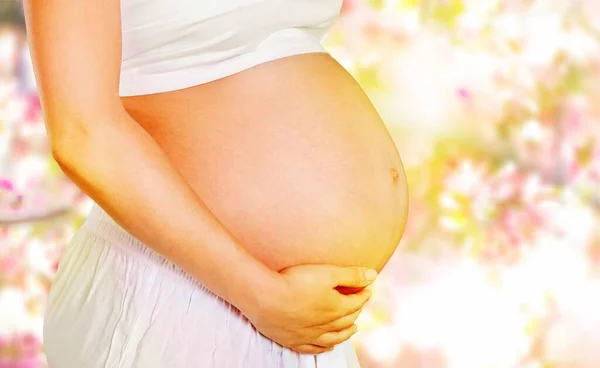 Lindo Vientre Embarazada Sobre Fondo Blureed —  Fotos de Stock