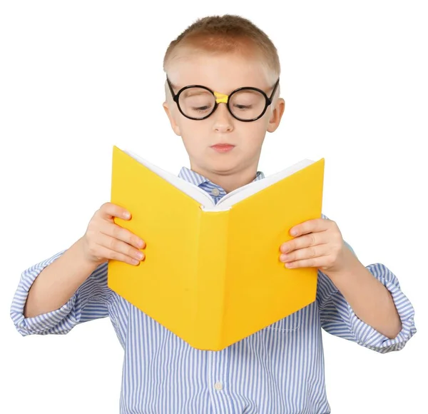 Menino Escola Pequeno Bonito Com Livro — Fotografia de Stock