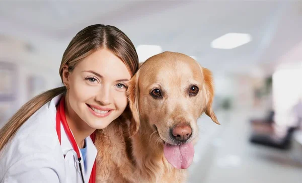 Mladá Fena Veterinář Psem — Stock fotografie