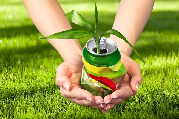 Hands holding metal can with fresh plant on background