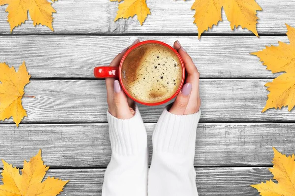Coffee cup in hands and autumn leaves
