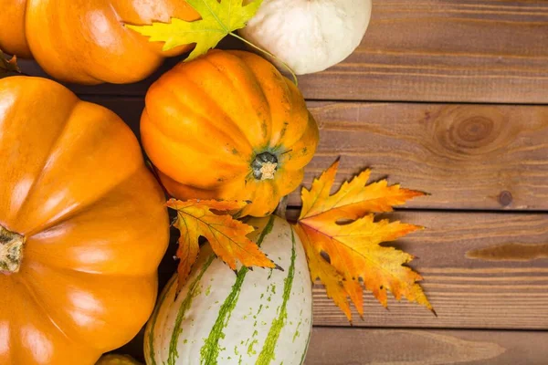 Pumpkins Squash Autumn Background — Stockfoto