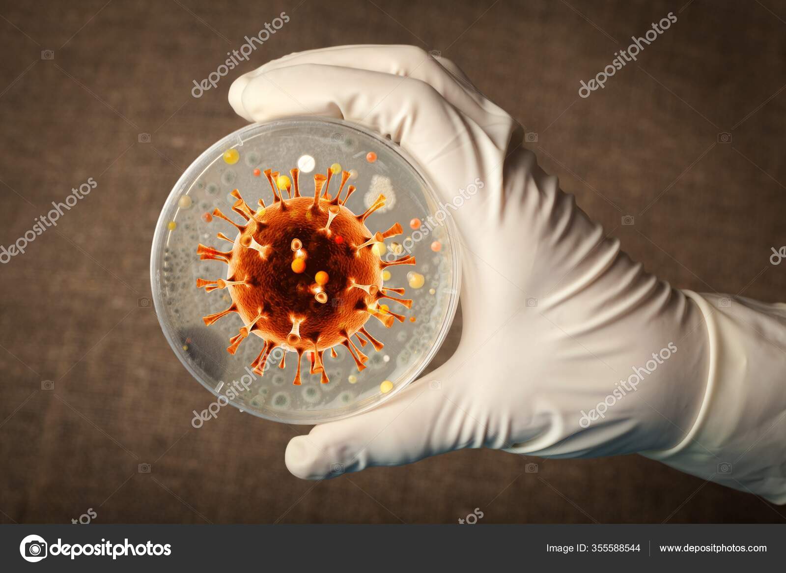Hand Holding Petri Dish Laboratory — Stock Photo © billiondigital
