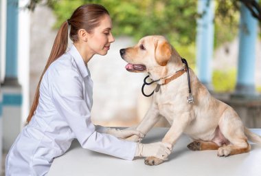 Köpeği olan genç bir veteriner.  