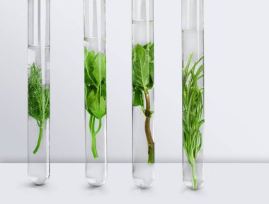 Test tüpleri arka plan üzerinde otlar