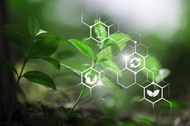 yeşil bitki ve dijital simgeler