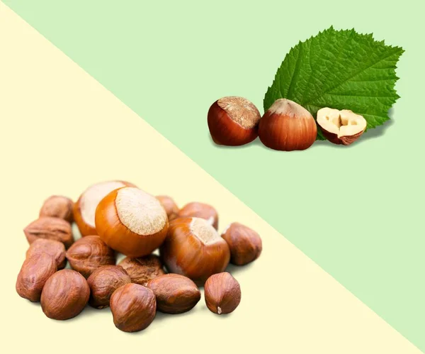 Hazelnuts Leaves Green Background — Stock Photo, Image