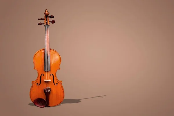 Wooden classic violin isolated