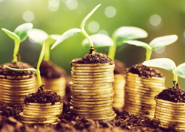 Coins Soil Young Plants Close View — Stock Photo, Image