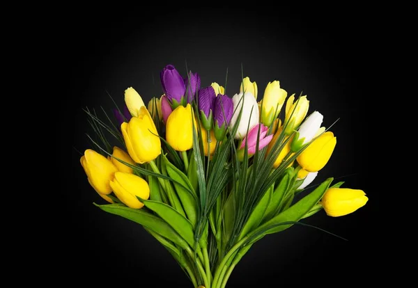 背景にチューリップの花束 — ストック写真