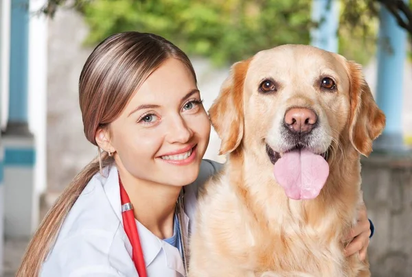 Young female veterinarian with dog