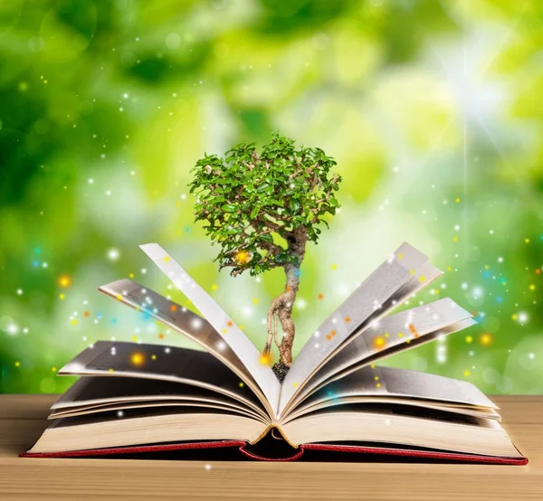 Open book with magical green tree