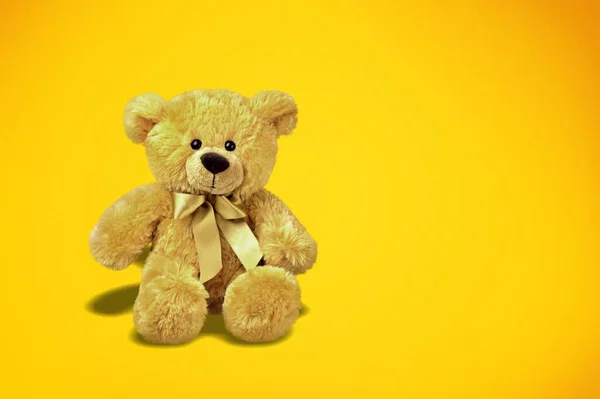 Urso Bonito Teddy Isolado Fundo — Fotografia de Stock