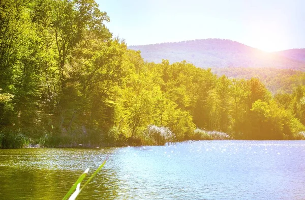 Prachtig Landschap Van Meer Met Bomen Bos — Stockfoto