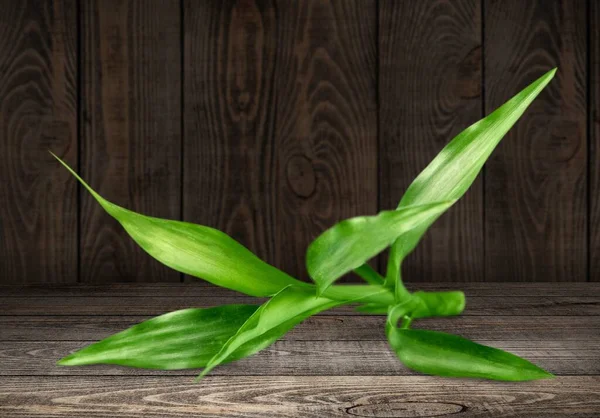 Groene Bladeren Houten Ondergrond — Stockfoto