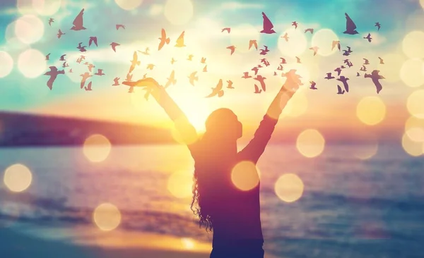 Silhouet Van Een Meisje Met Vliegende Vogels Het Strand — Stockfoto