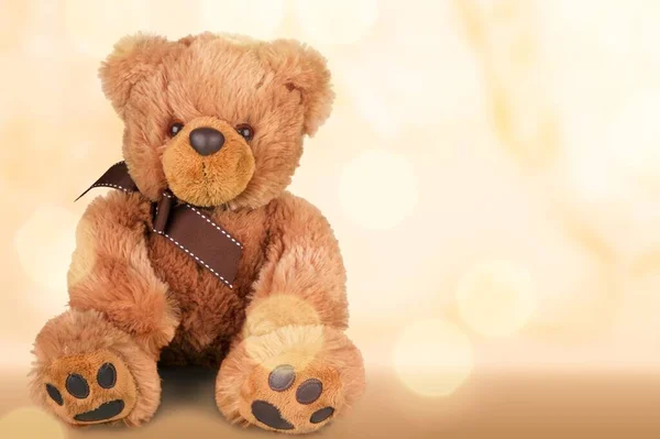 Urso Bonito Teddy Isolado Fundo — Fotografia de Stock