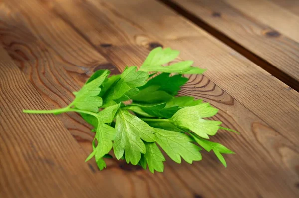 Green fresh parsley — Stock Photo, Image