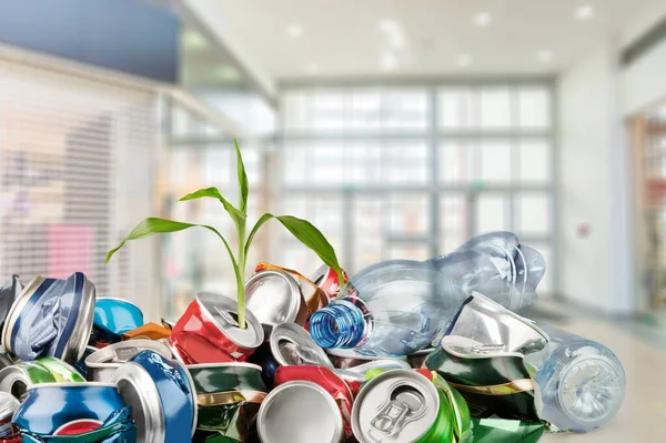 Latas Basura Con Planta Joven Crecimiento — Foto de Stock