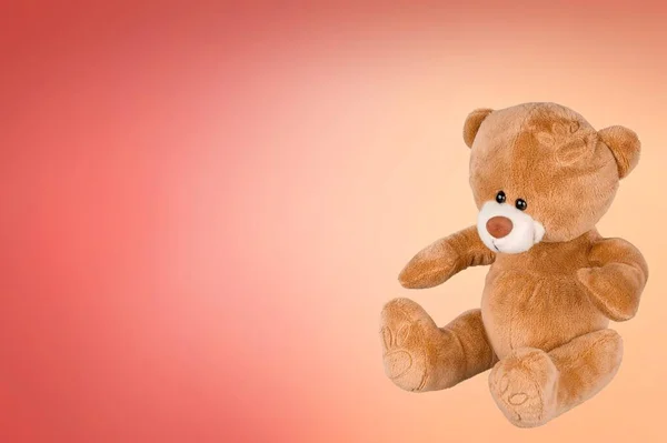 Schattige Teddybeer Geïsoleerd Achtergrond — Stockfoto