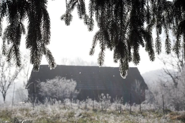 Pierwsze Fantazyjne Zimowe Pozdrowienia Chorwackiej Wsi Pobliżu Zagrzebia Chorwacja Europa — Zdjęcie stockowe