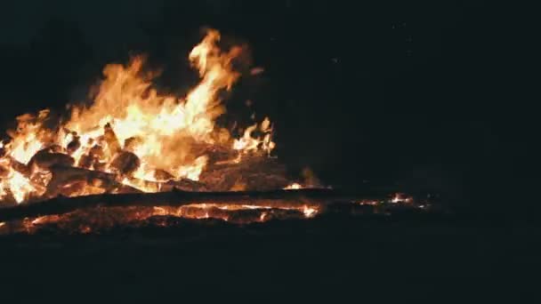 Lägereld av grenar brännskadan på natten i skogen — Stockvideo