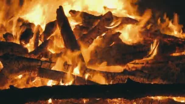 Gran fogata de las ramas queman en la noche en el bosque — Vídeo de stock