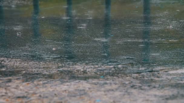 Regen drupt door de plassen — Stockvideo