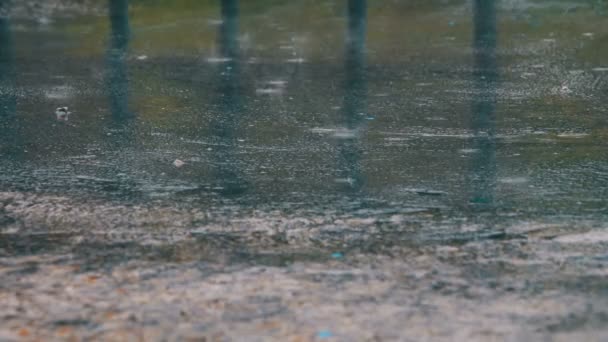 La pluie coule à travers les flaques — Video