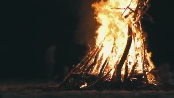 Grote kampvuur uit takken branden 's nachts in het bos — Stockvideo
