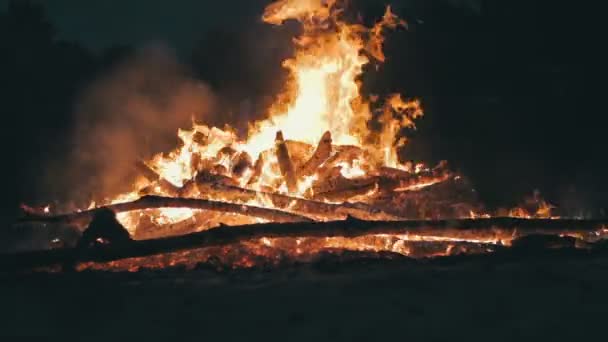 Lägereld av grenar brännskadan på natten i skogen — Stockvideo