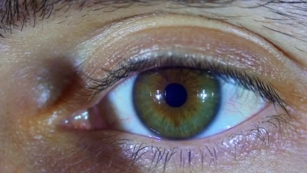 Human Eye Blinks — Stock Video