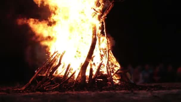 Gran fogata de las ramas queman en la noche en el bosque — Vídeos de Stock