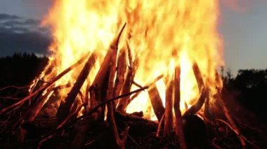 Ormanda geceleri dalları yanmak dan büyük kamp ateşi