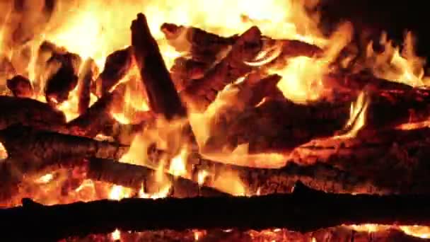 Lägereld av grenar brännskadan på natten i skogen — Stockvideo