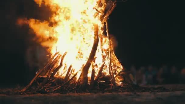 Geceleri dalları yanık ormanda kamp ateşi — Stok video