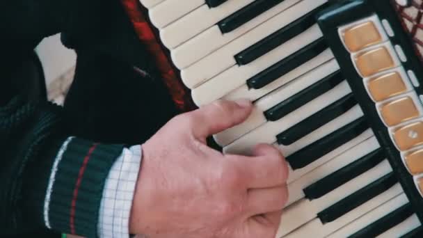 Клавішний акордеон музикант — стокове відео