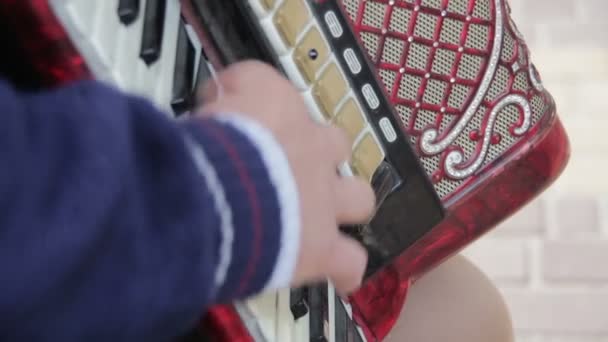 Клавішний акордеон музикант — стокове відео