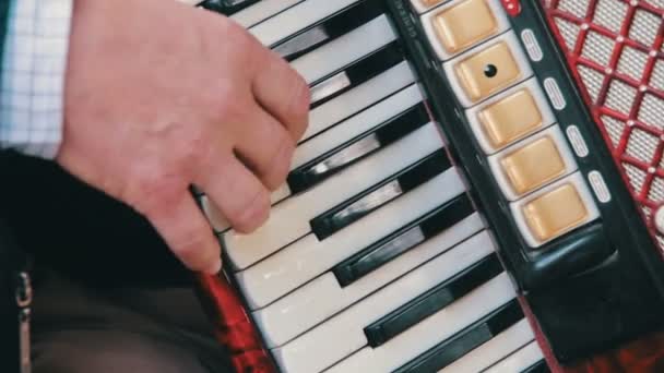 Músico de acordeão de piano — Vídeo de Stock