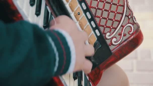 De muzikant speelt accordeon — Stockvideo