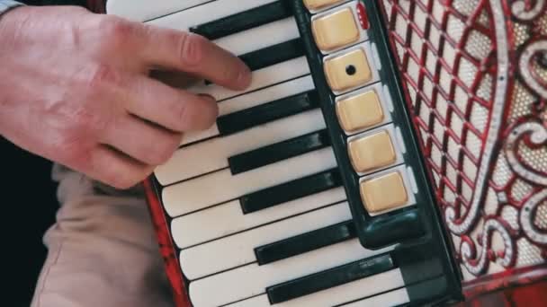Klavír akordeon hudebník — Stock video