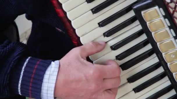 The Musician Plays the Accordion — Stock Video